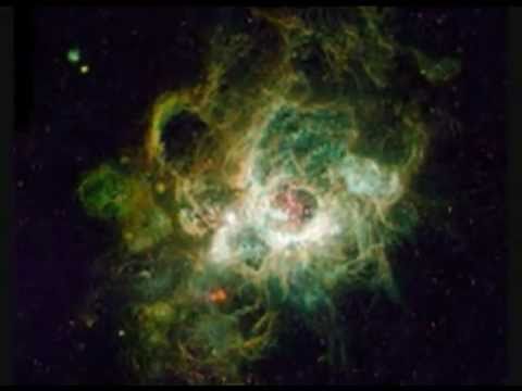 Arboricum Sandorsi S Multiverse Remix Of Fragment 1 Alto Tenor Recorder 