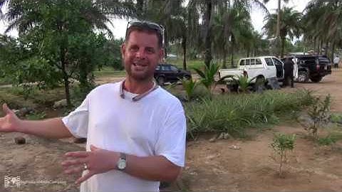 Home Leone Hydraform Housing