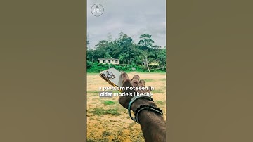 iPhone 17 Pro Flash Issue Revealed: Unexpected Shadows?
