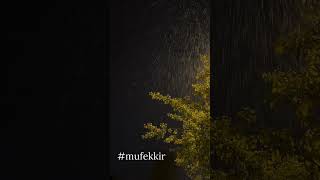 Gençliğimi Geri Verseler Bu Kez En Çok Kendimi Severim - Ferhat Göçer - Yağmur Manzarası