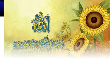 تلاوة حجازية رائعة سورة الانفال الشيخ زكي داغستاني www.qoranet.net