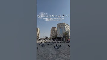 مثلًا كلمة طيبة كشجرة طيبة - سورة ابراهيم #اكسبلور #راحة_نفسية #المصحف #قرآن #quran