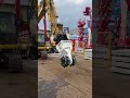 🔧 Safety-Prioritized : LINGDONG Auto Hydraulic Connecting Quick Coupler with Anti-Drop Safety Hook 🔧
