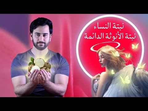 فيديو: هل تزداد وزنك مع الكوهوش السوداء؟