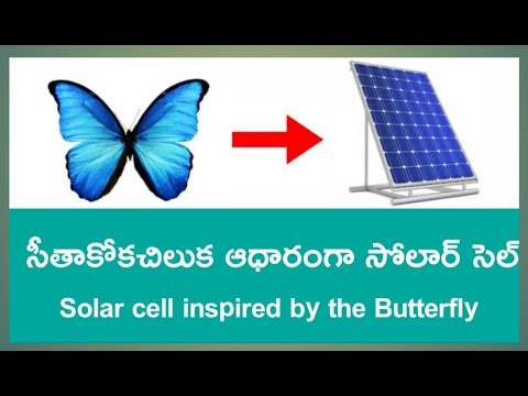 Solar cell inspired by the Butterfly |
