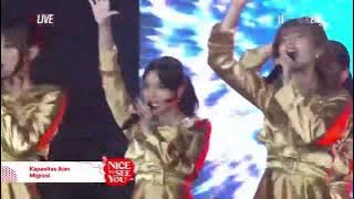 Kapasitas Ikan Migrasi - JKT48 | Show MnG Nice To See You