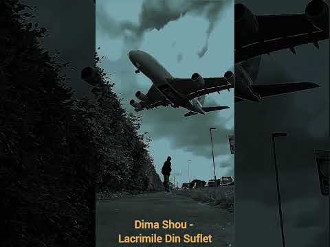 Dima Shou - Lacrimile Din Suflet 