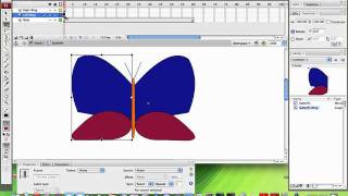 Flash Butterfly.mov
