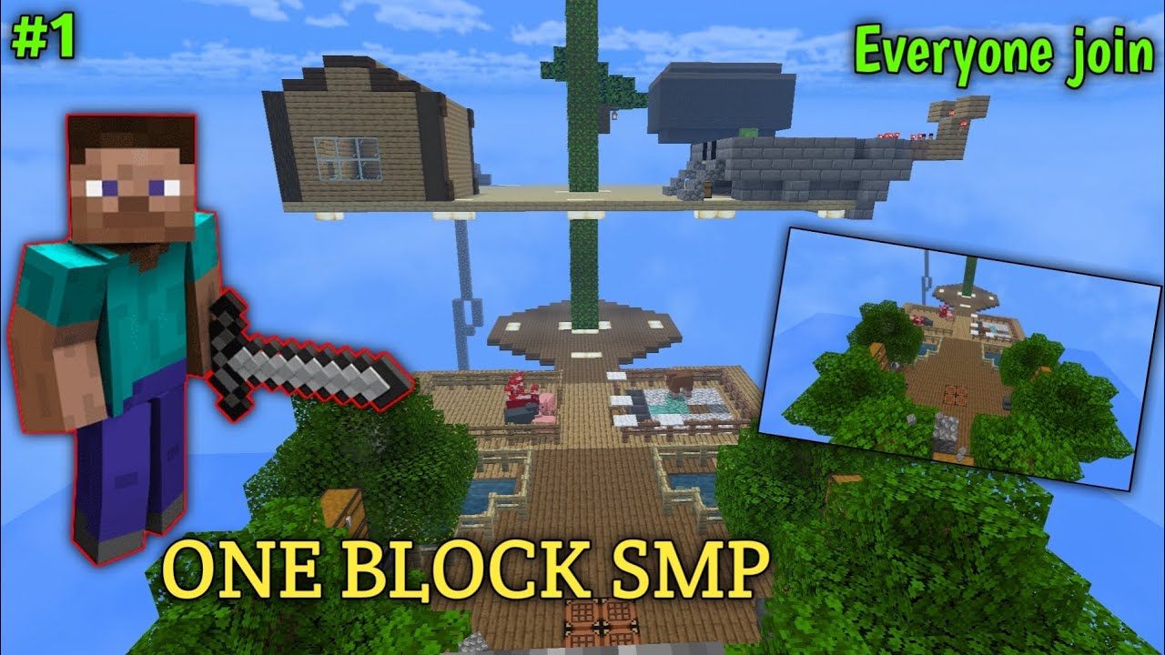 First Day In Minecraft Oneblock SMP 😍 | GONE WRONG !!! - YouTube