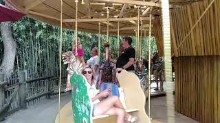 Aubree riding the Cincinnati Zoo carousel