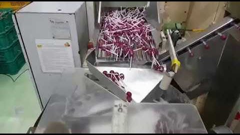 Lollipop bunch wrapping machine Aquarius BU-400.