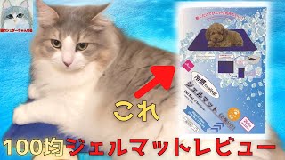 100均ペット用冷却ジェルマットレビュー✧夏バテ猫に冷感ジェルマットプレゼント