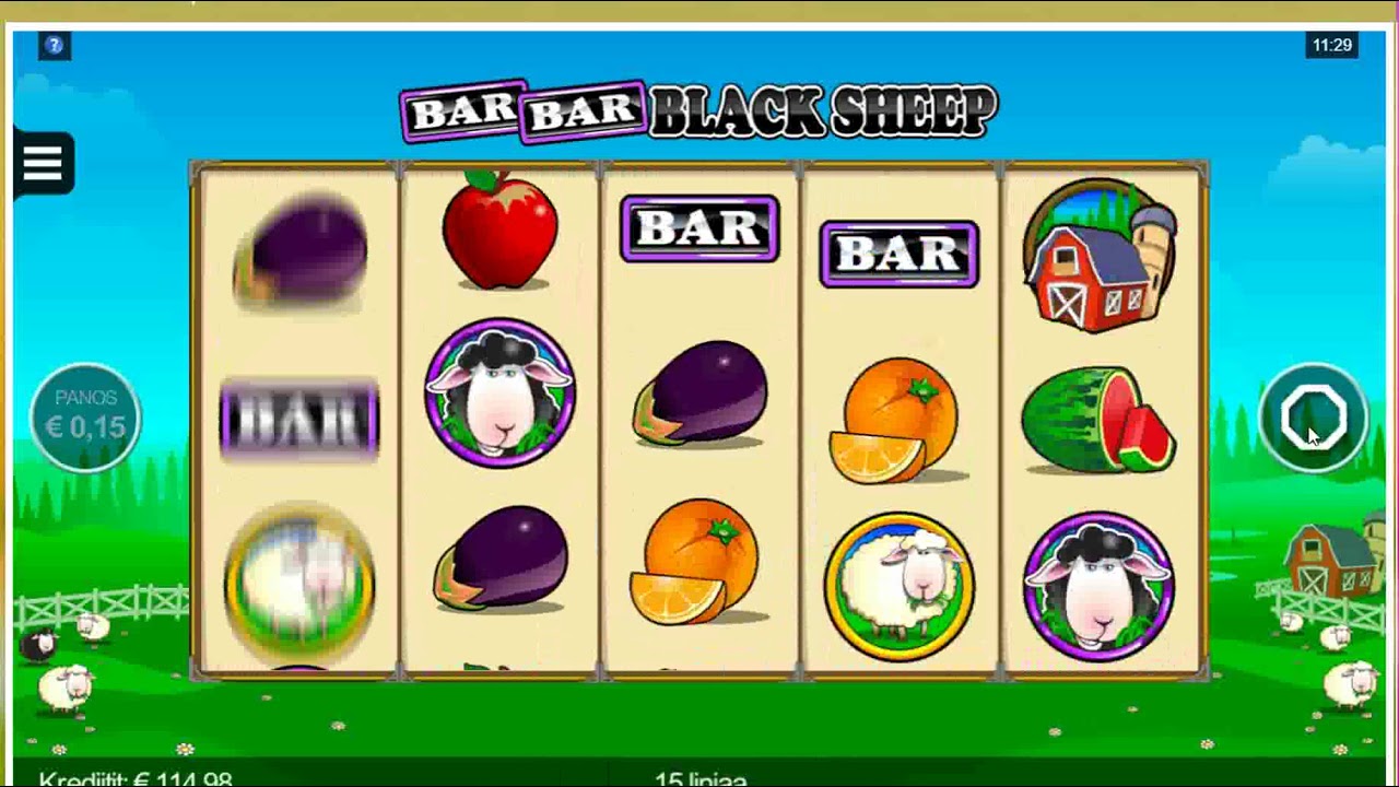 Ming Dynasty, Bar Bar Black Sheep ja Superwilds