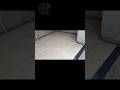 wooden tile 8x48inch before and after|satisfied video #constructiontips #construction