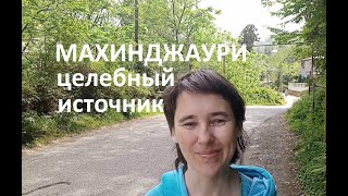 Как мы на целебный термальный источник ходили - в Батуми Махинджаури весной 2024 года