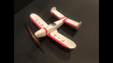 Rubber-Powered Mauboussin Hemiptere at Wawayanda, October 2020