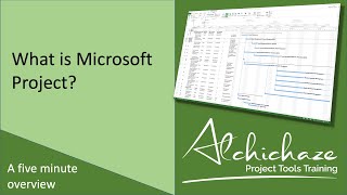 What is Microsoft Project?
