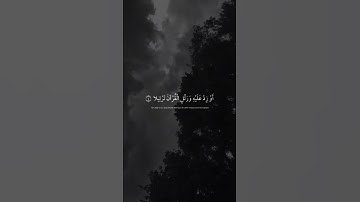 تلاوة هادئة للقارئ عبدالرحمن مسعد 🤍