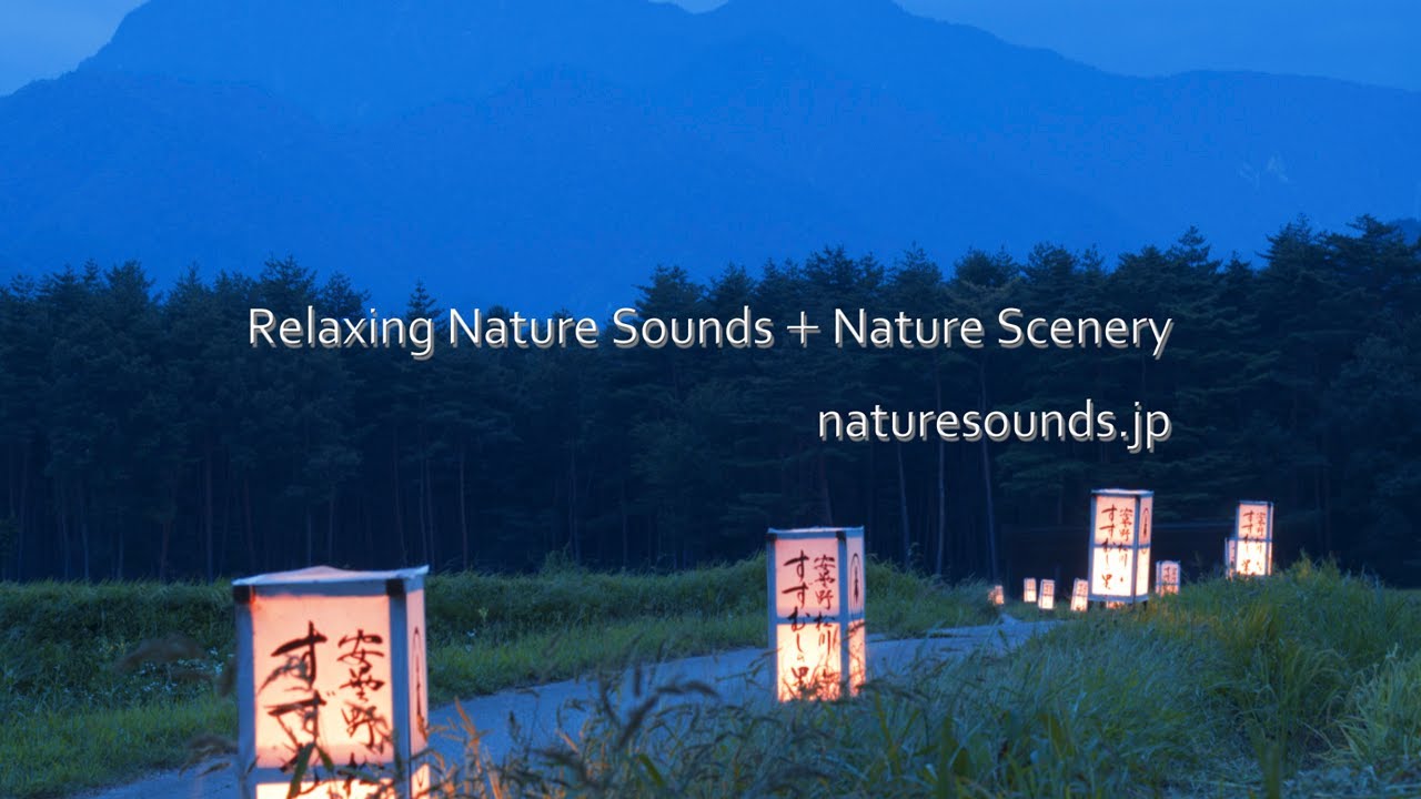 夕闇に響く鈴虫の優しき秋音色〜日本の音旅 信州安曇野松川町〜 - YouTube