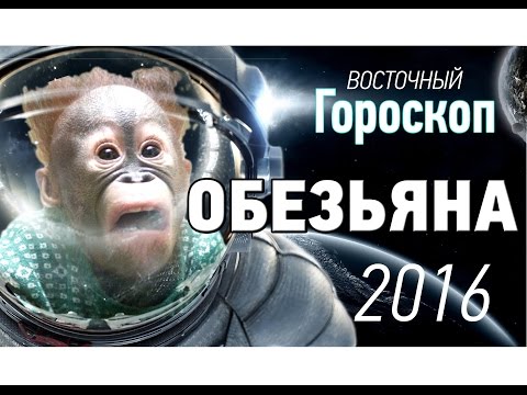 Обезьяна. Восточный ( китайский ) гороскоп на 2016 год