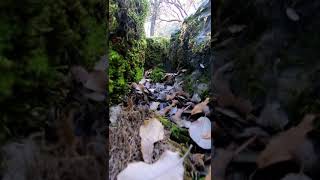 🌳Quick glimpse👀 of El Robledal de la Maroma ⛰️  | Hiking Route | Alhama de Granada