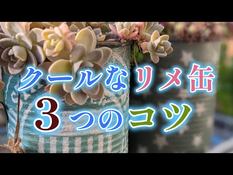 多肉植物 DIY】クールなリメイク缶を作る3つのコツ - YouTube