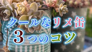 多肉植物 DIY】クールなリメイク缶を作る3つのコツ - YouTube