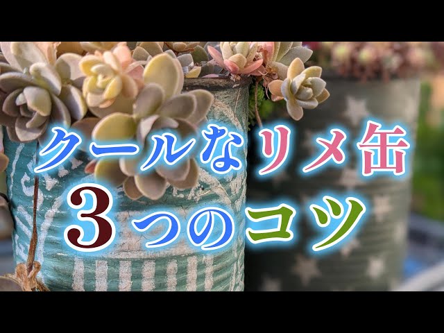 【ぱる♡】リメイク缶 / 367 多肉植物 DIY】クールなリメイク缶を作る3つのコツ - YouTube