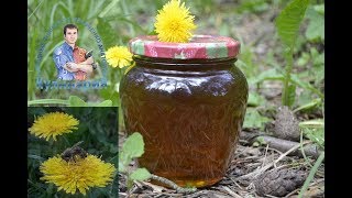 ИСКУССТВЕННЫЙ МЕД ИЗ ОДУВАНЧИКОВ. САМЫЙ ПОЛЕЗНЫЙ ОДУВАНЧИКОВЫЙ МЕД ИСКУССТВЕННЫЙ МЕД ИЗ ОДУВАНЧИКОВ. САМЫЙ ПОЛЕЗНЫЙ ОДУВАНЧИКОВЫЙ МЕД