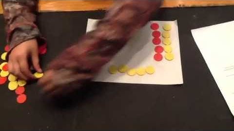 Integer Chips with Kelsey W.