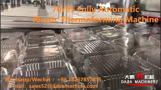 DB-70/95 Fully Automatic Plastic Thermoforming Machine for clamshell