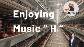 100,000 Layers Farm Equipment Egg Production Farm 4K Video