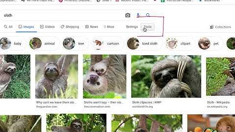 Google Image Search Usage Rights