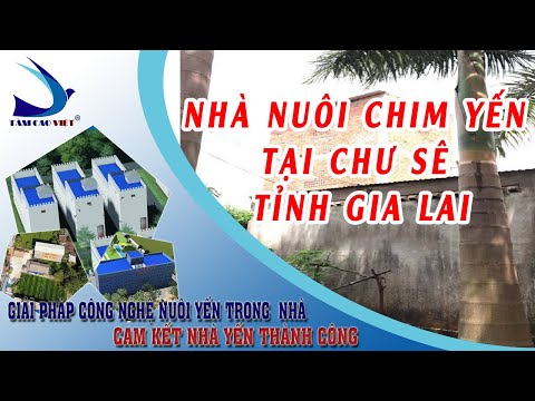 Video Nhà nuôi chim yến tại Chư Sê Tỉnh Gia Lai - YouTube