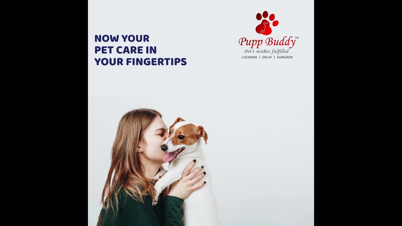Coming Soon..Pupp Buddy App..Download the App..