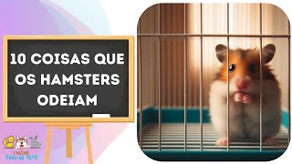 10 coisas que os hamsters odeiam