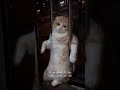 عيدوا كل الخلايق بس أنا