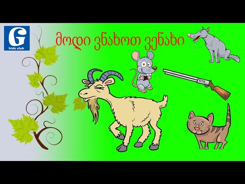 მოდი ვნახოთ ვენახი. ლექსი. txa da venaxi