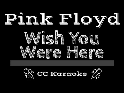 Pink Floyd •
