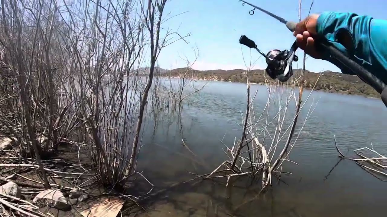 Sol Cal Bass Fishing Tips