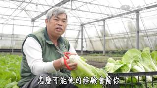 【農夫與他的田】20160215 - 蘭陽平原的種菜人家