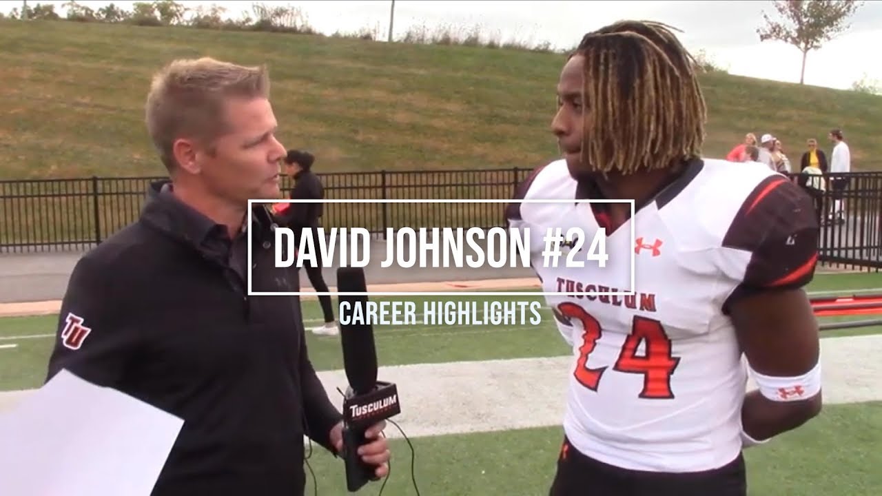 David Johnson Career Highlight "2-4"