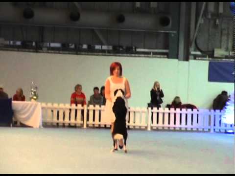 Final Agria Freestyle Cup 2011 Alexandra & Floyd 1...