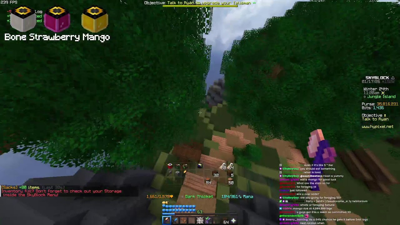 Hypixel Skyblock | LF MANGO DYE