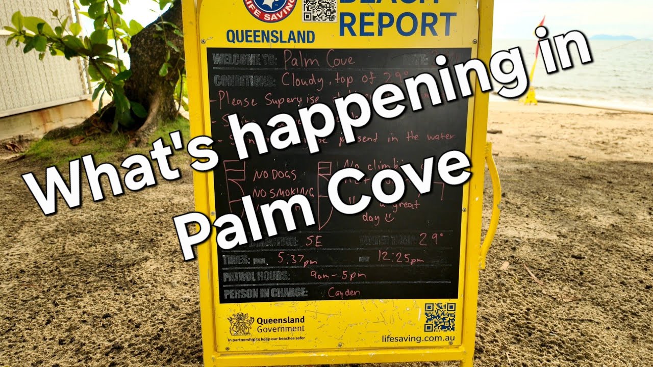 What's happening in Palm Cove in rainy season. January 28th