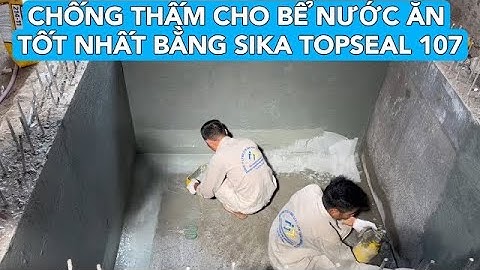 Hướng dẫn chống thấm bể nước ăn tốt nhất bằng Sikatopseal 107 | Grout 214/11 | Latex TH