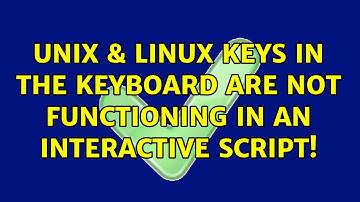 Unix & Linux: Keys in the keyboard are not functioning in an interactive script!