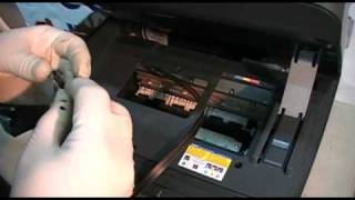 Instalación Sistema Continuo Epson CX5600