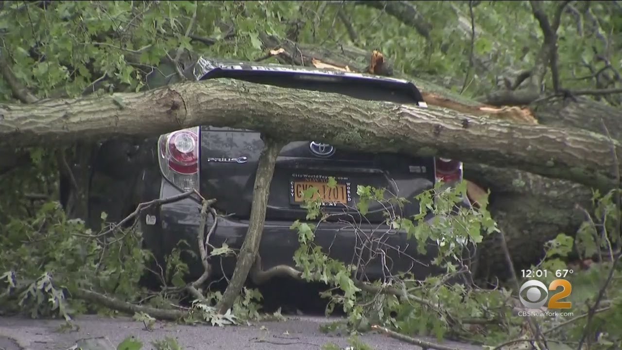 storm radar After The Storm: Cleanup Continues Across Long Island