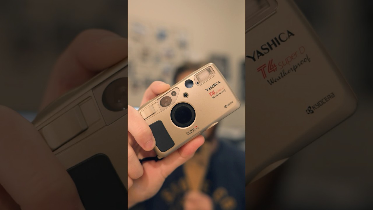 Yashica T4 - my favorite film point and shoot #analog #photography